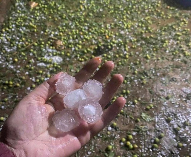 2 trạm y tế và 7 điểm trường bị hư hỏng do dông lốc, mưa đá ở Tuyên Quang- Ảnh 1.