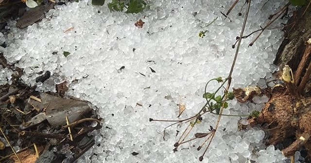 Mưa đá, dông lốc gây thiệt hại hàng trăm nhà ở tại miền núi phía Bắc- Ảnh 1. Mưa đá, dông lốc gây thiệt hại hàng trăm nhà ở tại miền núi phía Bắc- Ảnh 1.