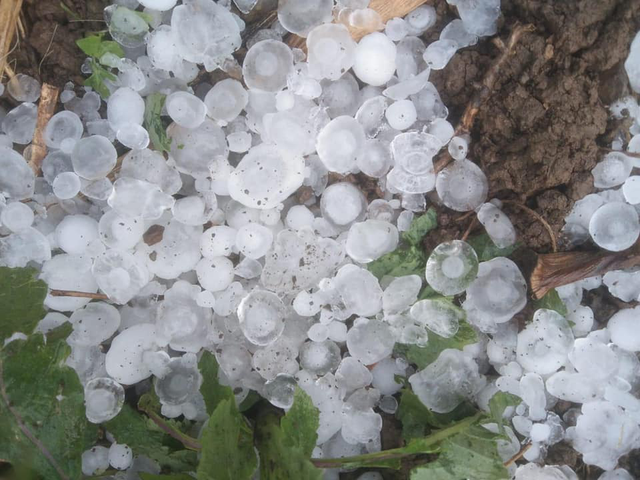 Cách nhận biết sắp có mưa đá và giảm thiểu thiệt hại do thiên tai- Ảnh 1.