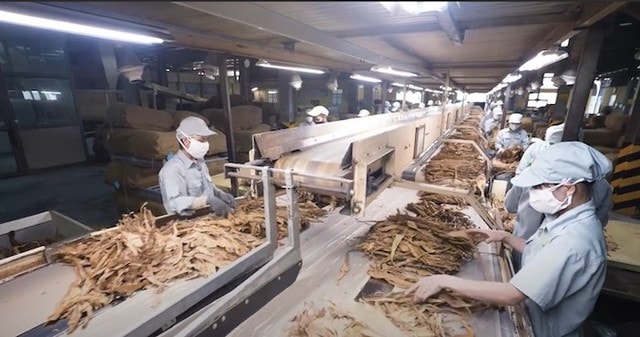 Bà Vũ Lan Hương xin thôi tham gia HĐQT Công ty Cổ phần Ngân Sơn- Ảnh 1.