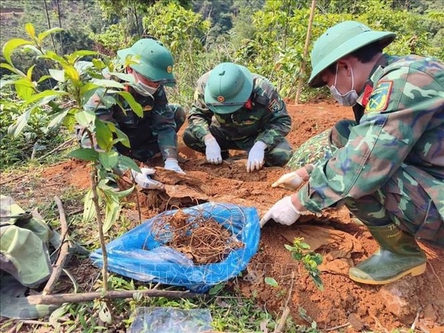 Phó Thủ tướng phát động 'Chiến dịch 500 ngày đêm' tìm kiếm, quy tập hài cốt liệt sĩ- Ảnh 1. Phó Thủ tướng phát động 'Chiến dịch 500 ngày đêm' tìm kiếm, quy tập hài cốt liệt sĩ- Ảnh 1.