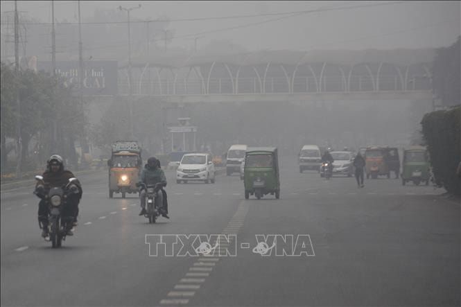 Châu Á cân nhắc đối phó với khủng hoảng nhiên liệu như thời COVID-19- Ảnh 2.