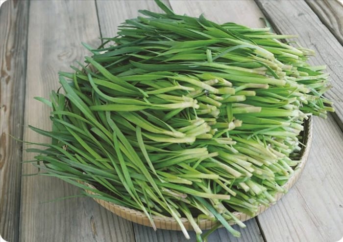 Bài thuốc từ lá hẹ | Dân tộc và Phát triển