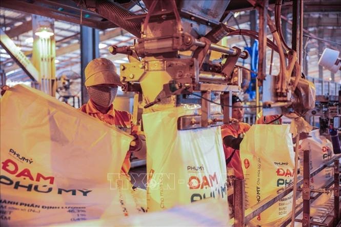 Tìm giải pháp ổn định thị trường phân bón trong nước- Ảnh 1.