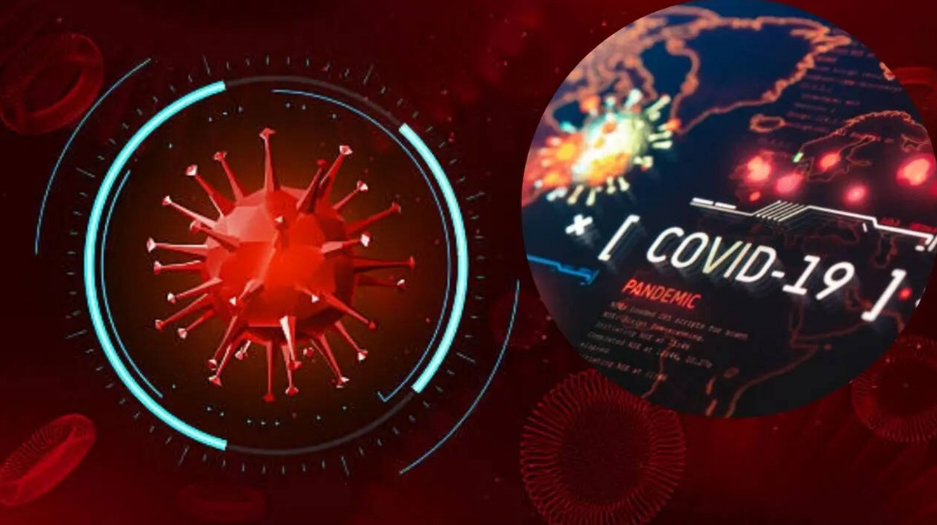 Bộ Y tế thông tin mới nhất về biến thể 've sầu' của COVID-19- Ảnh 1.