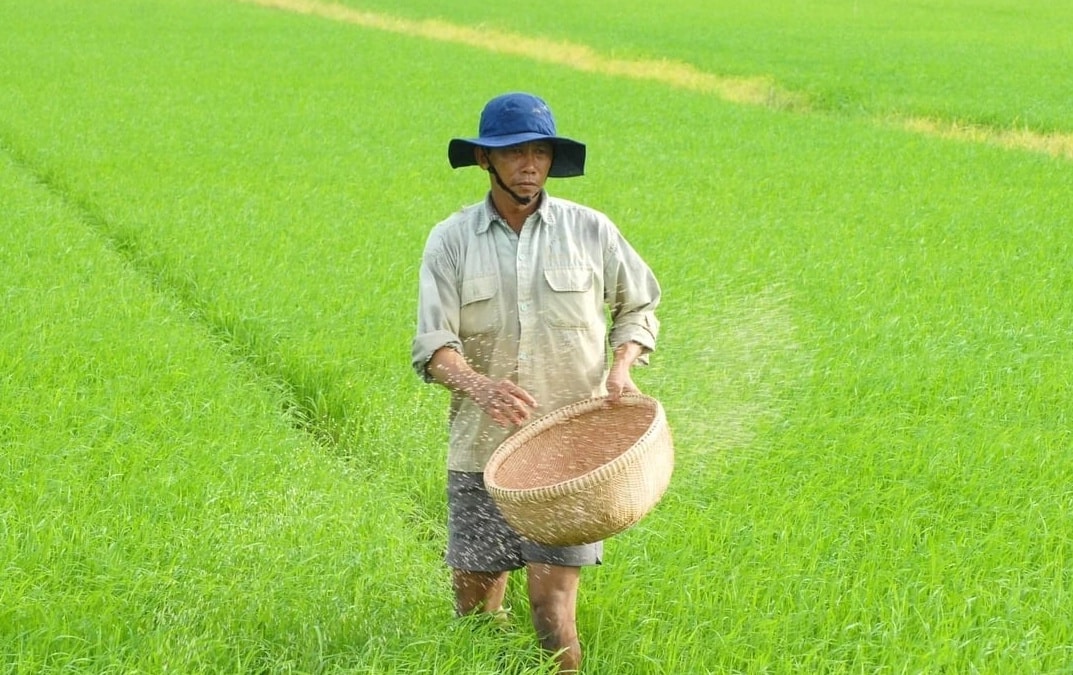 Doanh nghiệp, hiệp hội chung tay giữ nhịp sản xuất nông nghiệp- Ảnh 5.