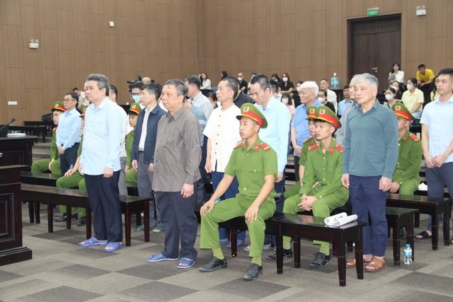 Giám đốc Công ty Hoàng Dân khai về nguồn gốc 175 cây vàng - Ảnh 3.