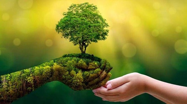 Chuyển đổi số – xanh: Động lực lớn nhưng chưa dễ 'bật công tắc' cho nông nghiệp- Ảnh 1.