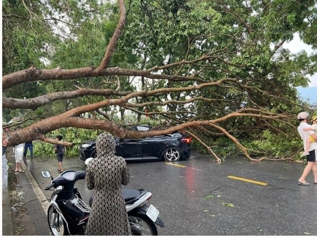 13 người thương vong do dông lốc, mưa đá hàng loạt ở các tỉnh miền Bắc- Ảnh 1.