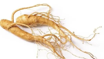 4 loại thảo dược cần tránh khi uống thuốc huyết áp, trong đó có trà xanh- Ảnh 1. 4 loại thảo dược cần tránh khi uống thuốc huyết áp, trong đó có trà xanh- Ảnh 1.