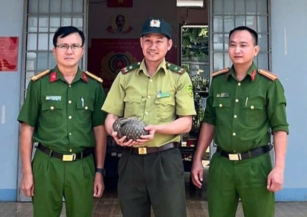 Đồng Nai: Người dân tự giác giao nộp cá thể tê tê quý hiếm đi lạc vào vườn- Ảnh 2.