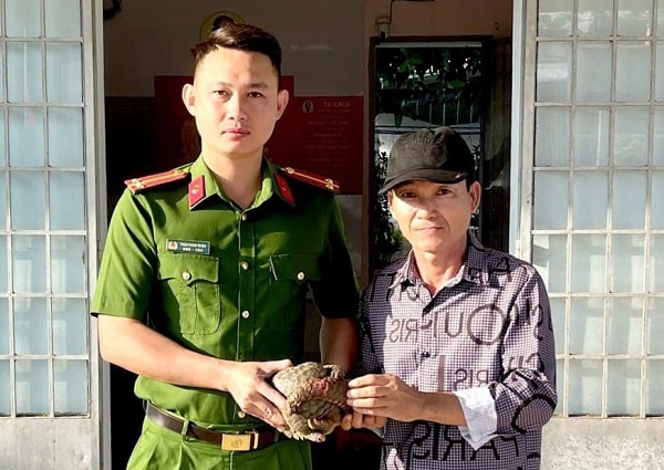 Đồng Nai: Người dân tự giác giao nộp cá thể tê tê quý hiếm đi lạc vào vườn- Ảnh 1.