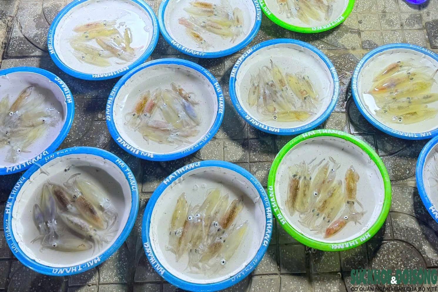 Chợ mực nháy đêm Cửa Lò: Bán không cân, khách vẫn nườm nượp- Ảnh 2. Chợ mực nháy đêm Cửa Lò: Bán không cân, khách vẫn nườm nượp- Ảnh 2.