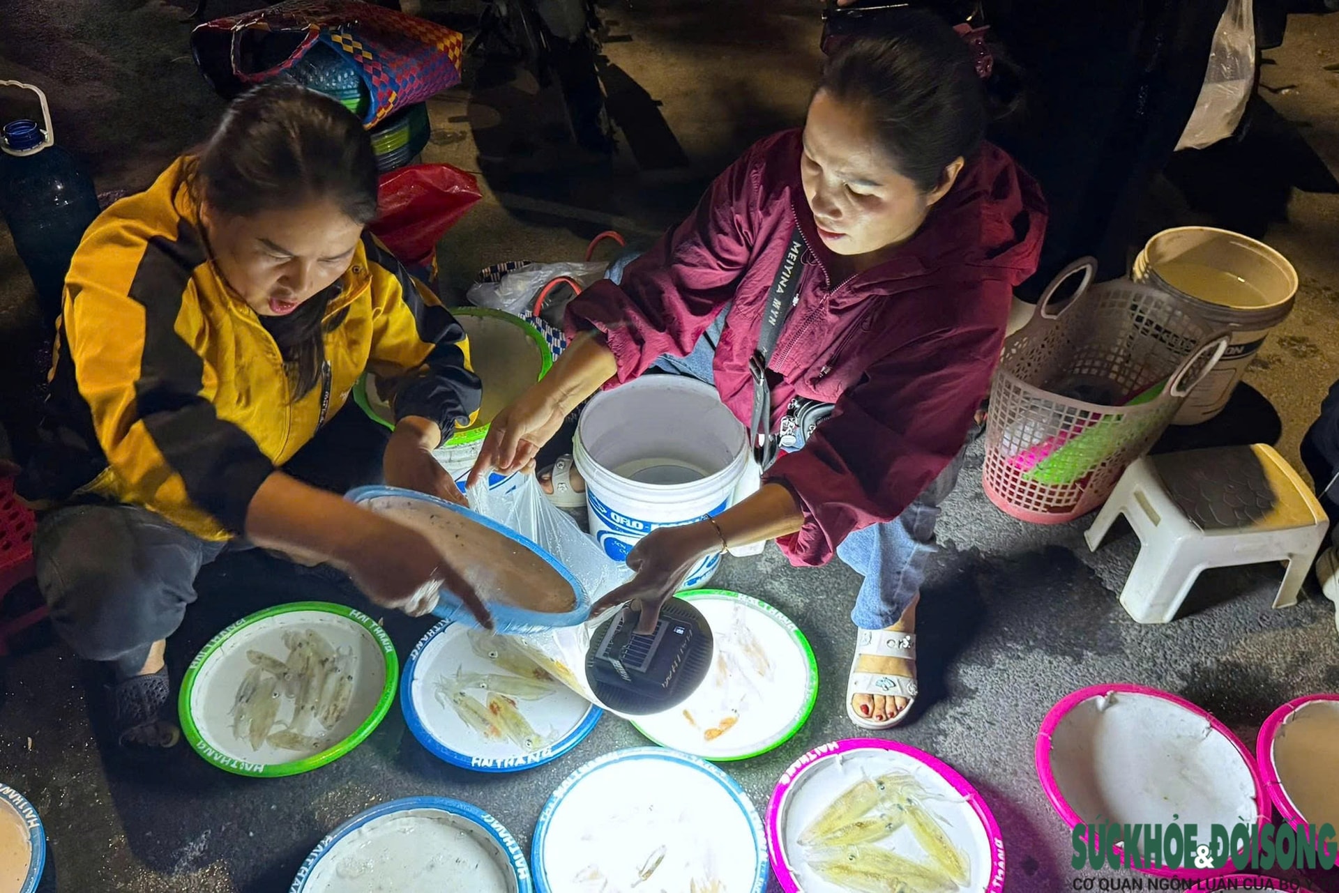 Chợ mực nháy đêm Cửa Lò: Bán không cân, khách vẫn nườm nượp- Ảnh 8. Chợ mực nháy đêm Cửa Lò: Bán không cân, khách vẫn nườm nượp- Ảnh 8.