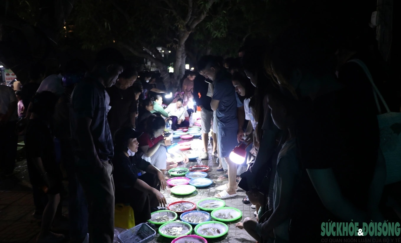 Chợ mực nháy đêm Cửa Lò: Bán không cân, khách vẫn nườm nượp- Ảnh 10. Chợ mực nháy đêm Cửa Lò: Bán không cân, khách vẫn nườm nượp- Ảnh 10.