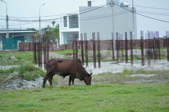 Cận cảnh dự án 670 tỷ đồng 'đắp chiếu' trên đất vàng tại Thanh Hóa vừa bị thu hồi- Ảnh 6.