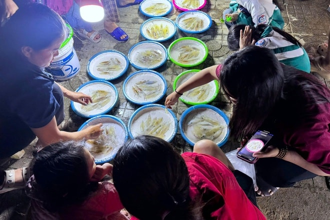 Chợ mực nháy đêm Cửa Lò: Bán không cân, khách vẫn nườm nượp- Ảnh 4. Chợ mực nháy đêm Cửa Lò: Bán không cân, khách vẫn nườm nượp- Ảnh 4.