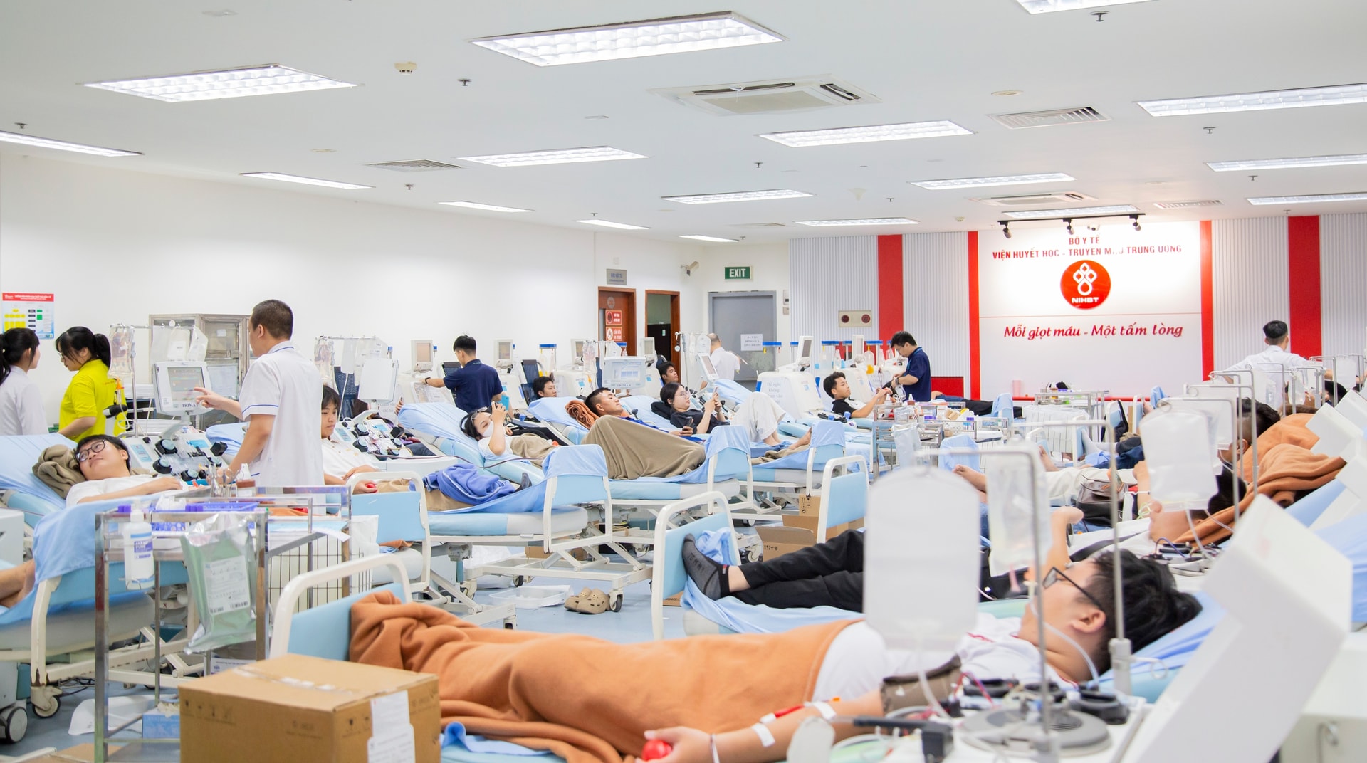 Ngày Sức khỏe toàn dân: Từ giọt máu sẻ chia đến một Việt Nam khỏe mạnh- Ảnh 3. Ngày Sức khỏe toàn dân: Từ giọt máu sẻ chia đến một Việt Nam khỏe mạnh- Ảnh 3.