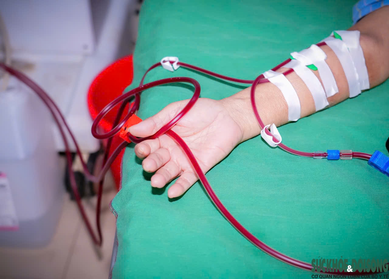 Hơn 2.000 bệnh nhân chạy thận ở Nghệ An: Sống nhờ máy, mòn mỏi chờ ghép thận- Ảnh 2.