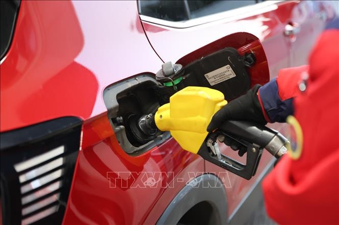 Giá dầu Brent giảm xuống sát mức 98 USD/thùng- Ảnh 1. Giá dầu Brent giảm xuống sát mức 98 USD/thùng- Ảnh 1.