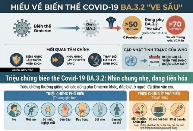 Ngành y tế Hà Tĩnh khuyến cáo không hoang mang, chủ quan trước biến thể mới của COVID-19- Ảnh 2.