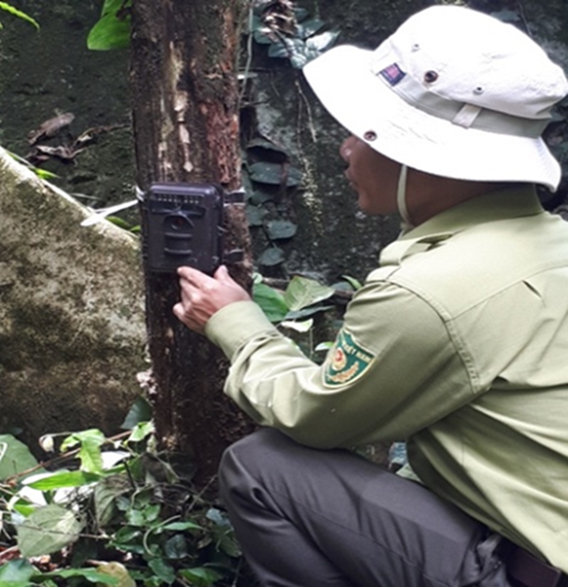 Những thiết bị hiện đại, trí tuệ nhân tạo được triển khai để bảo vệ động vật hoang dã quý hiếm- Ảnh 2.