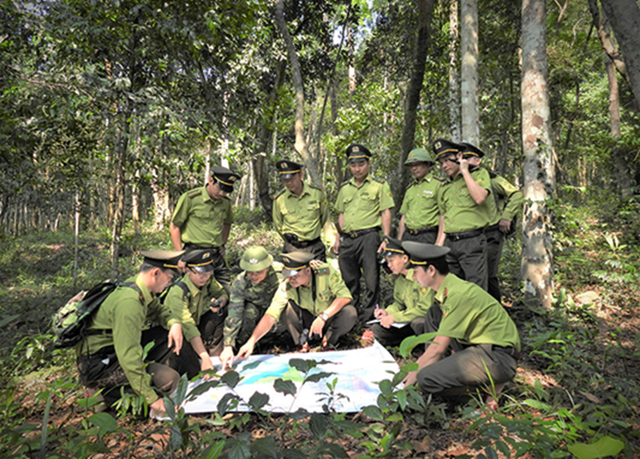 Những thiết bị hiện đại, trí tuệ nhân tạo được triển khai để bảo vệ động vật hoang dã quý hiếm- Ảnh 5.