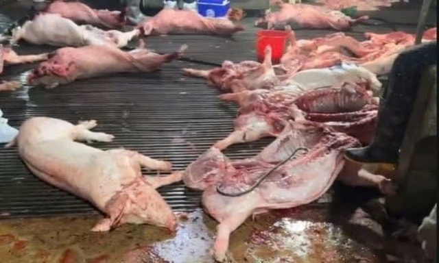 Hà Nội siết chặt quản lý an toàn thực phẩm tại bếp ăn sau vụ 300 tấn thịt bẩn vào trường học- Ảnh 2.