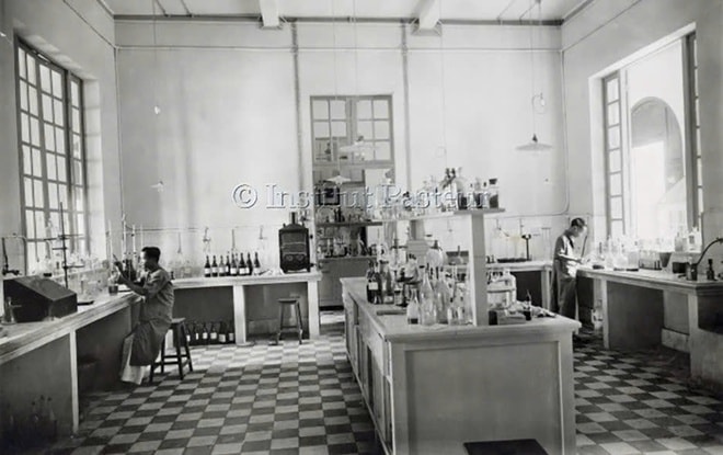 Viện Pasteur TPHCM sau 135 năm phát triển- Ảnh 2.