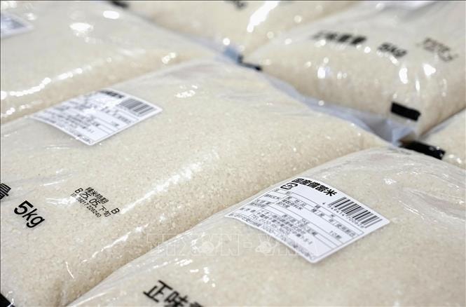 Chuyên gia dự báo giá gạo toàn cầu có thể tăng mạnh- Ảnh 1.