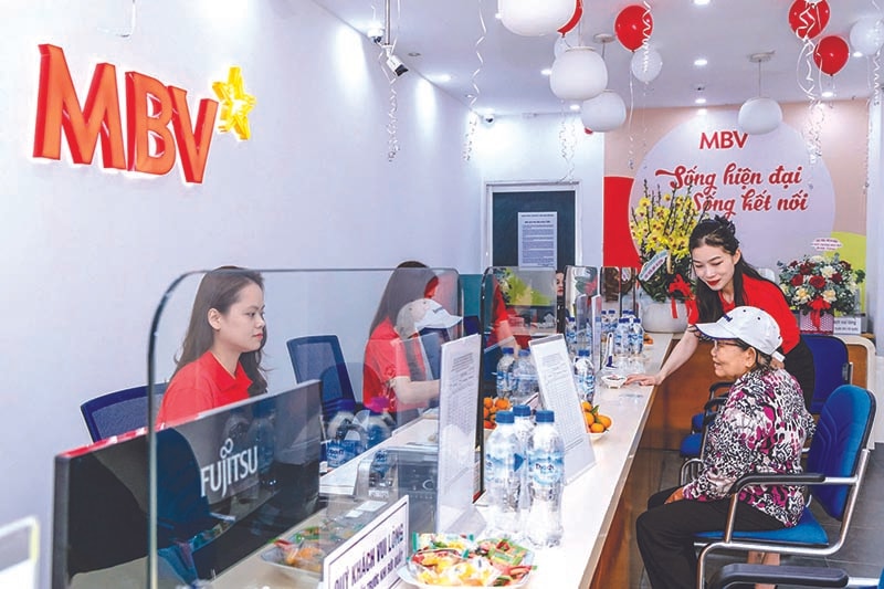 Thanh tra kết luận ngân hàng MBV Bình Dương chưa tuân thủ pháp luật- Ảnh 1.