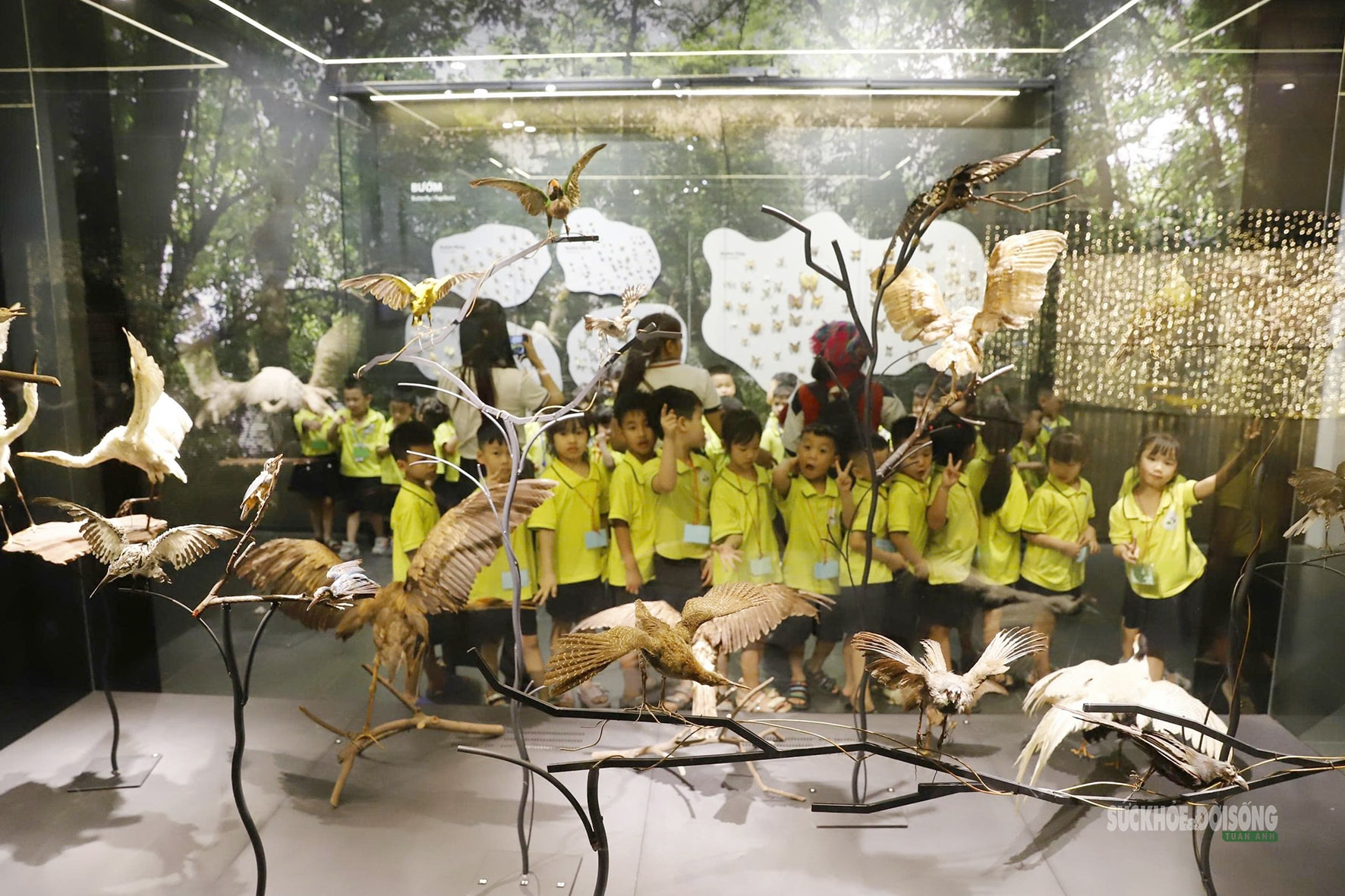 Điểm chạm di sản đang hút khách ở Thủ đô- Ảnh 4.