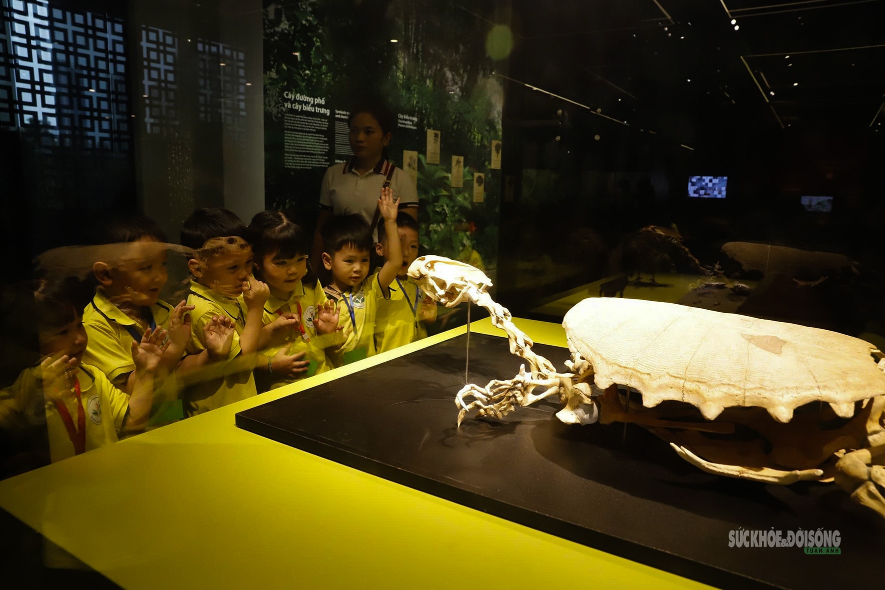 Điểm chạm di sản đang hút khách ở Thủ đô- Ảnh 6.