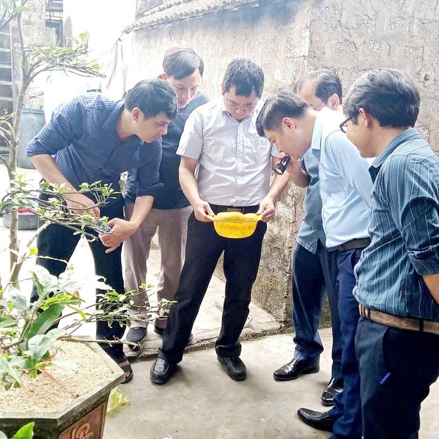 Siết chặt giám sát sốt xuất huyết tại Nghệ An trước mùa dịch- Ảnh 1.