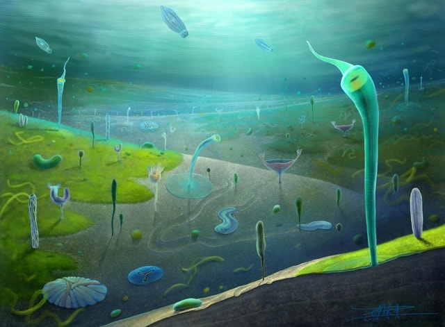 Phát hiện hóa thạch có thể hé lộ tổ tiên thật sự của loài người- Ảnh 3. Phát hiện hóa thạch có thể hé lộ tổ tiên thật sự của loài người- Ảnh 3.