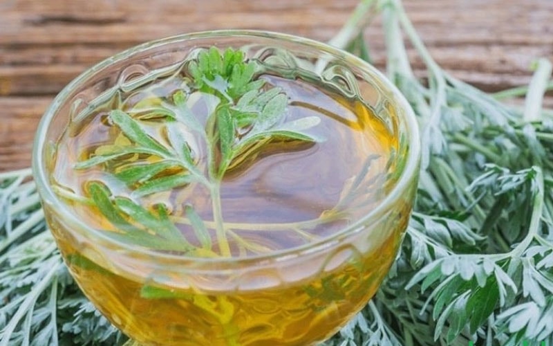 3 cách sử dụng ngải cứu làm sáng da hiệu quả tại nhà- Ảnh 2.