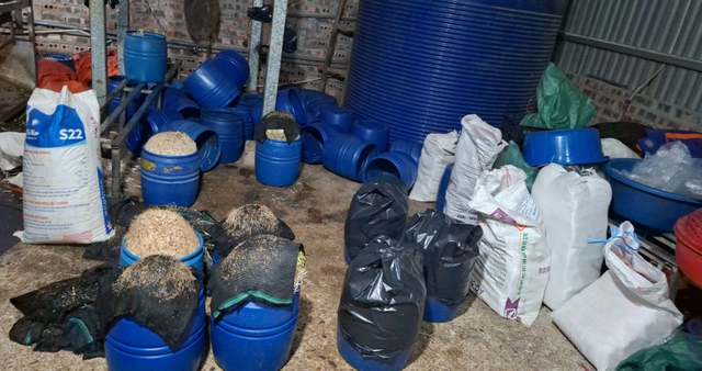 Khởi tố Chu Thị Hòa vì sản xuất giá đỗ chứa chất cấm, tuồn ra thị trường khoảng 510 tấn- Ảnh 2.