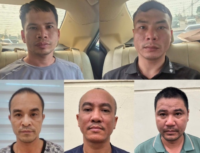 Bắt ổ nhóm trộm hơn 300 con mèo ở Hà Nội- Ảnh 1.