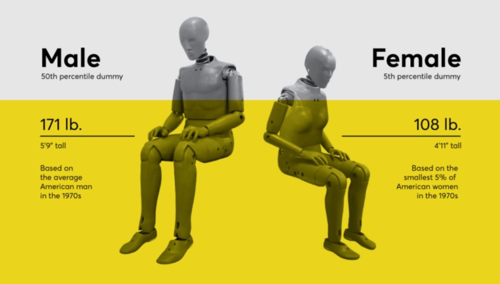 Hình nộm nam giới và nữ giới trong thử nghiệm an toàn ô tô. (Nguồn: Humanetics and CDC NHANES)