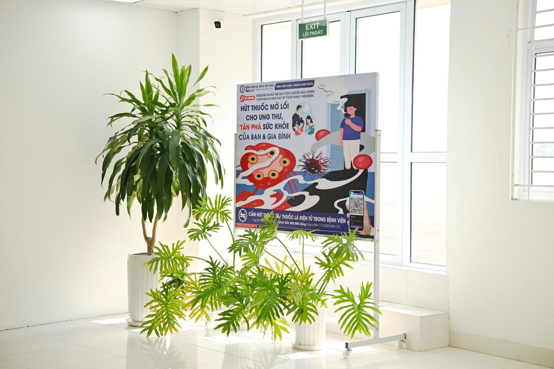 Cấm thuốc lá mới, mở rộng môi trường không khói thuốc: Kinh nghiệm quốc tế và bài toán thực thi tại Việt Nam- Ảnh 2. Cấm thuốc lá mới, mở rộng môi trường không khói thuốc: Kinh nghiệm quốc tế và bài toán thực thi tại Việt Nam- Ảnh 2.