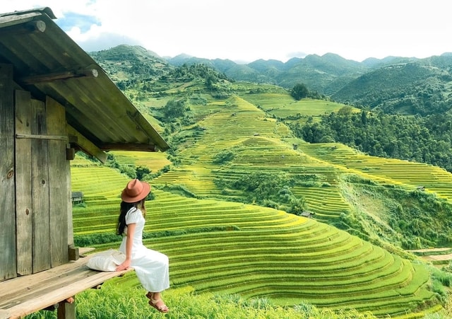 Y học cổ truyền ‘bắt tay’ du lịch y tế: Từ cội nguồn lịch sử đến hướng đi tương lai- Ảnh 2.