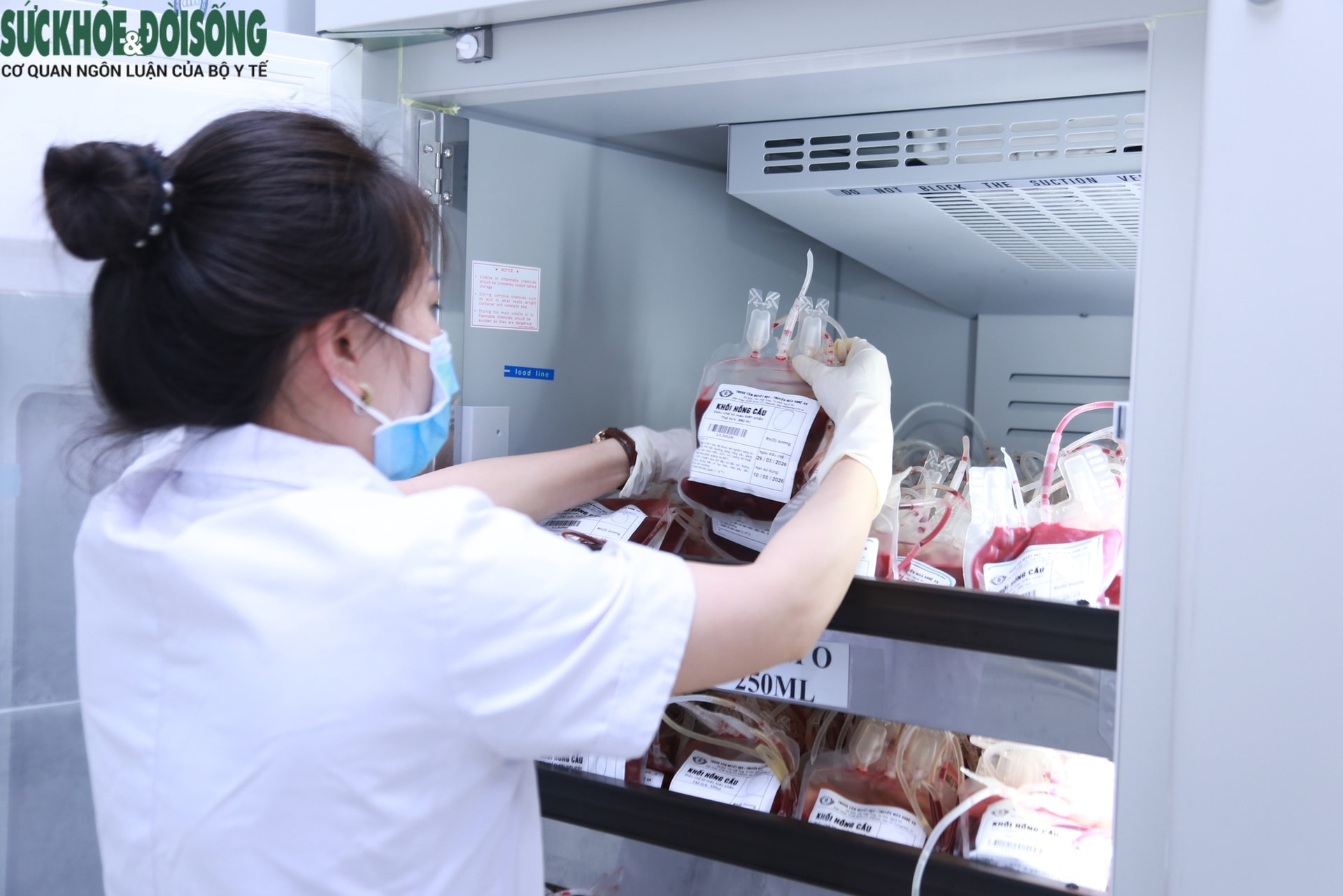 Ngành Y tế Nghệ An hiến máu, giữ nhịp điều trị- Ảnh 6.