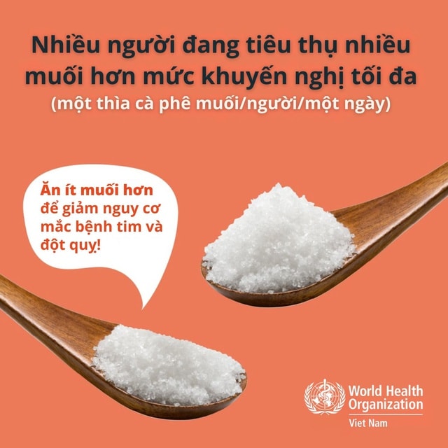 Ngày Sức khỏe toàn dân 7/4: Giảm muối, chủ động phòng bệnh từ bữa ăn hàng ngày- Ảnh 4. Ngày Sức khỏe toàn dân 7/4: Giảm muối, chủ động phòng bệnh từ bữa ăn hàng ngày- Ảnh 4.