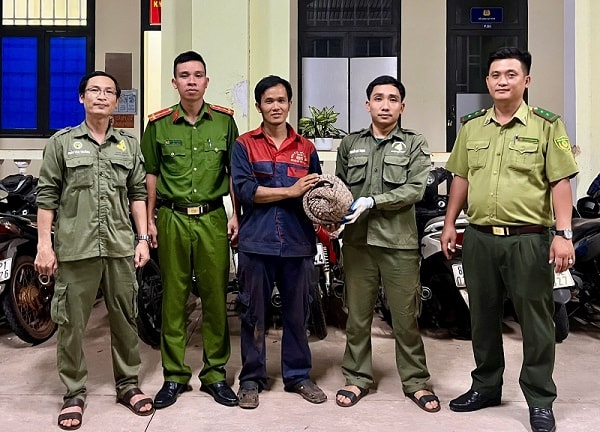 Phát hiện tê tê quý hiếm, người dân báo công an giao nộp cho Hạt kiểm lâm- Ảnh 2.
