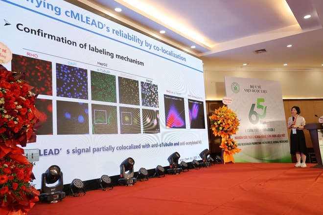 Đổi mới sáng tạo để đưa 'kho báu' dược liệu thành trụ cột trong chăm sóc sức khỏe, phát triển kinh tế- Ảnh 6.