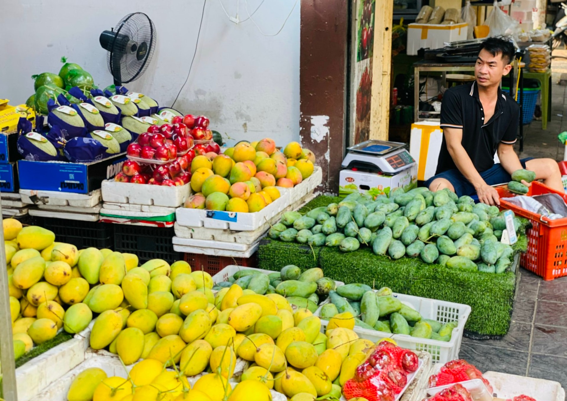 Một loại xoài Việt đang bán đầy chợ giá chỉ hơn chục nghìn đồng/kg, tiểu thương tiêu thụ hàng tạ mỗi ngày ai nhìn cũng muốn mua- Ảnh 1.
