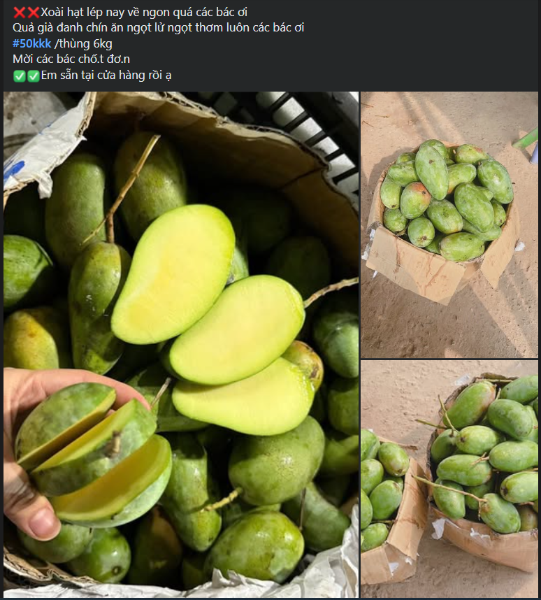 Một loại xoài Việt đang bán đầy chợ giá chỉ hơn chục nghìn đồng/kg, tiểu thương tiêu thụ hàng tạ mỗi ngày ai nhìn cũng muốn mua- Ảnh 3.