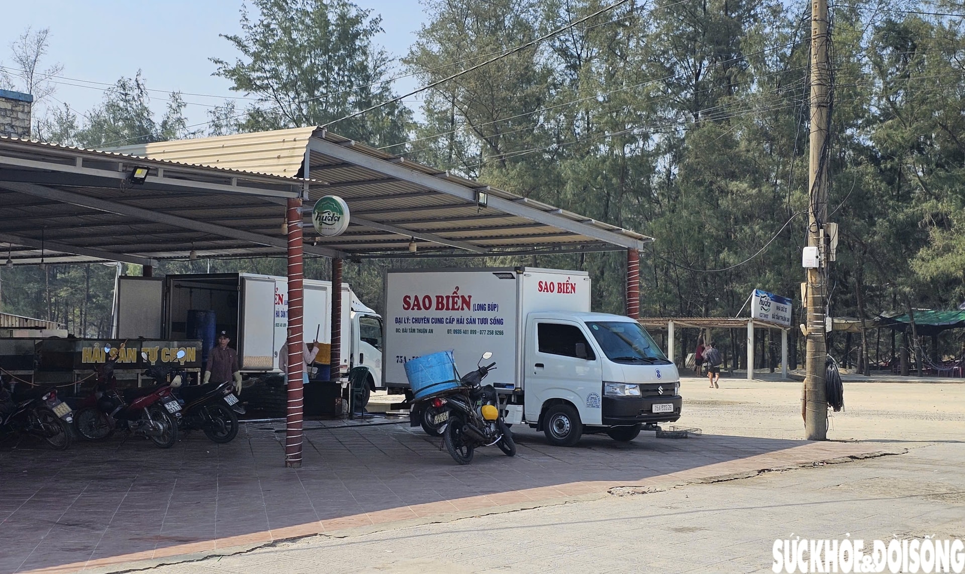 Oằn mình vượt qua nhiều đợt mưa bão, bãi biển nổi tiếng ở Huế vào mùa đón khách- Ảnh 11.