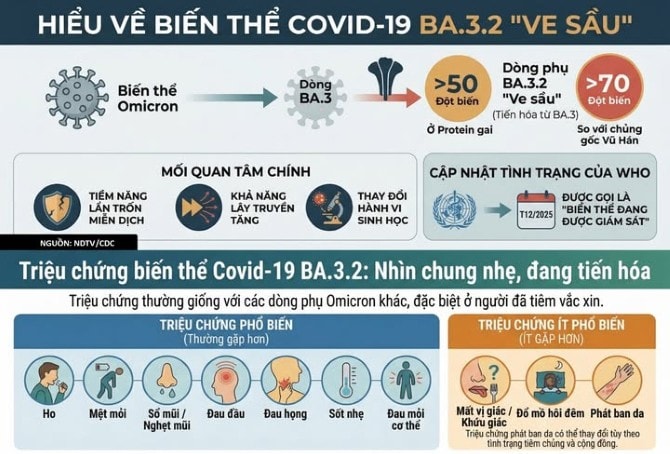 Người dân chủ động phòng ngừa nhiễm biến thể mới Covid-19 Ve sầu- Ảnh 3.