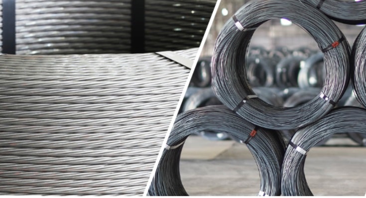 Công ty Xuất nhập khẩu Thiên Nam vi phạm chứng khoán- Ảnh 1.